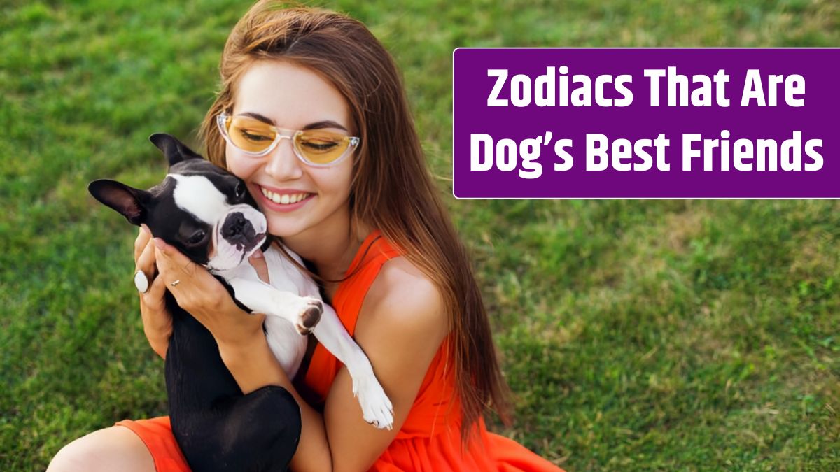 Happy pretty woman sitting on grass in summer park, holding boston terrier dog, kissing, wearing orange dress, trendy style, playing with pet.