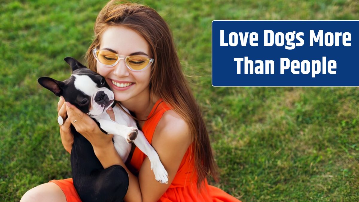 Happy pretty woman sitting on grass in summer park, holding boston terrier dog, kissing, wearing orange dress, trendy style, playing with pet.