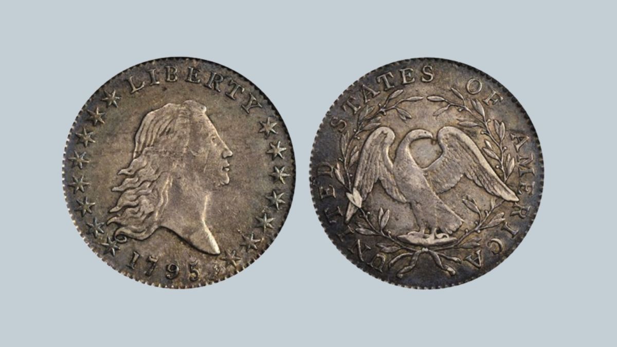 Flowing Hair Silver/Copper Dollar